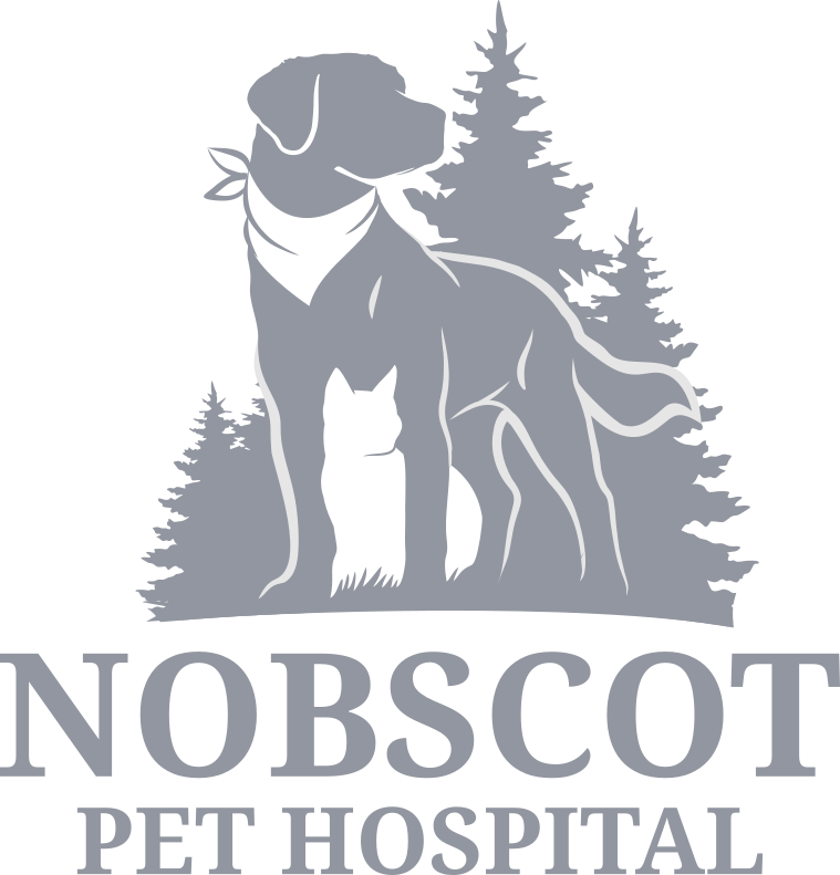 Nobscot Pet Hospital Nobscot Pet Hospital logo is a silhouette of a dog and cat in front of pine tree line.