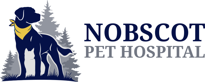 Nobscot Pet Hospital Nobscot Pet Hospital logo is a silhouette of a dog and cat in front of pine tree line.